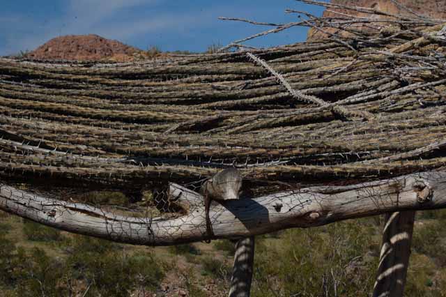 a ramada with ocotillo covering